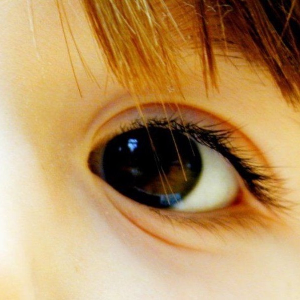 Голубые глаза у ребенка от кареглазых. Два кареглазых родителя цвет глаз ребенка. У кареглазых родителей. У светлоглазых рождаются кареглазые дети